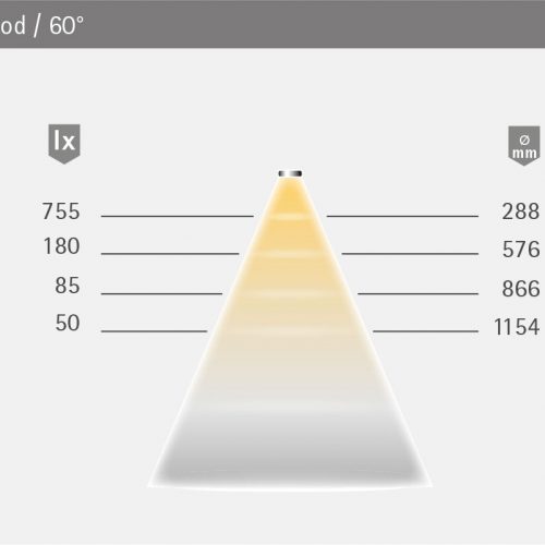 Eco_Power_Flood_LVT