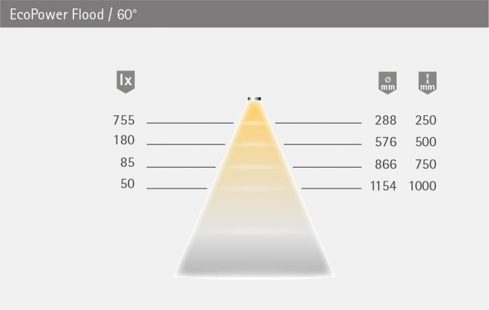 Eco_Power_Flood_LVT