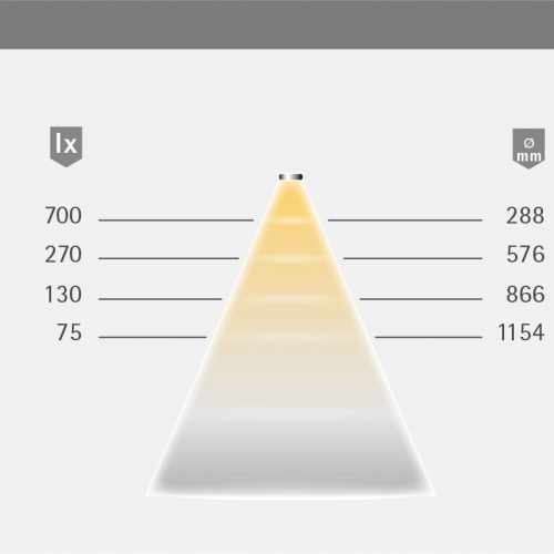 FineLite_LVT