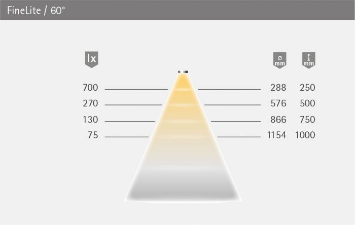 FineLite_LVT