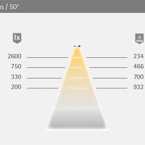 PowerLite_Plus_LVT